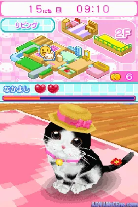 Kawaii Koneko DS 2 (Japan) screen shot game playing